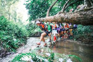 BIB: 
                            <button type="button" onclick="openModal(25467846)" class="btn btn-primary btn-sm float-right btn-popup" data-toggle="modal" data-target=".modal-high-quality">
                        <i class="fas fa-shopping-cart"></i> Add to Cart
                    </button>
                                            <button type="button" onclick="isThisMe(25467846, true)" class="btn btn-success btn-sm float-right btn-popup btn-isme hidden" data-toggle="tooltip" data-placement="bottom" title="นี่คือรูปของคุณใช่ไหม คลิกที่นี่เพื่อเอาเข้าอัลบั้ม">
                        <i class="fas fa-plus"></i> Add to album
                    </button>
                    <button type="button" onclick="isThisMe(25467846, false)" class="btn btn-warning btn-sm float-right btn-popup btn-isnotme hidden">
                        <i class="fas fa-ban"></i> Remove from album
                    </button>